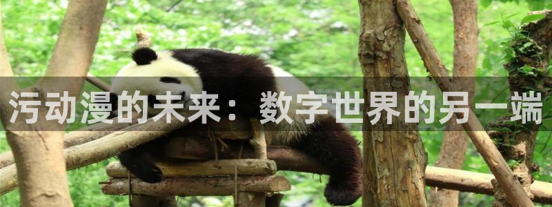 樱花动漫1.6.1版本下载：污动漫的未来：数字世界的另一端