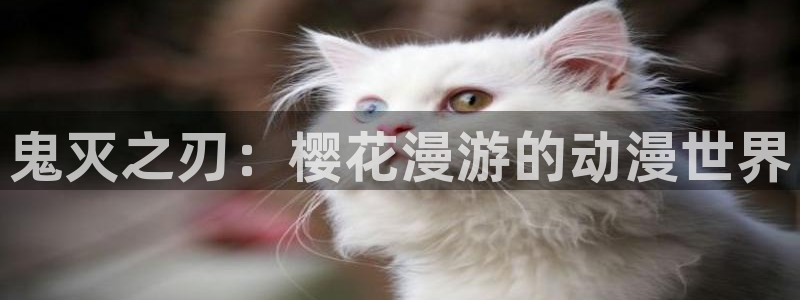 樱花动漫网专注动漫的门户网：鬼灭之刃：樱花漫游的动漫世界