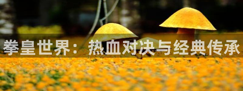 航海王樱花动漫1124：拳皇世界：热血对决与经典传承